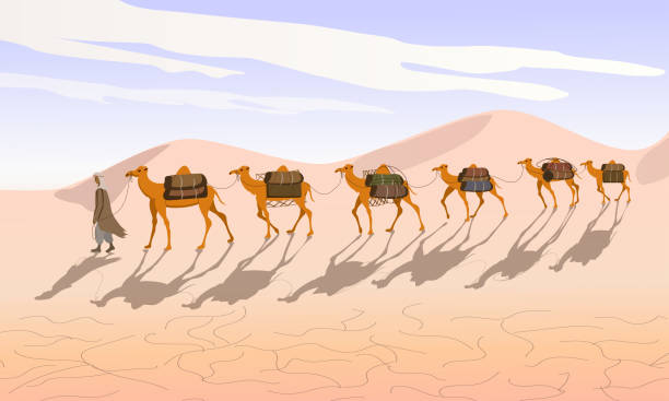 Camel caravan with a Bedouin goes through the desert. Camels in the desert.