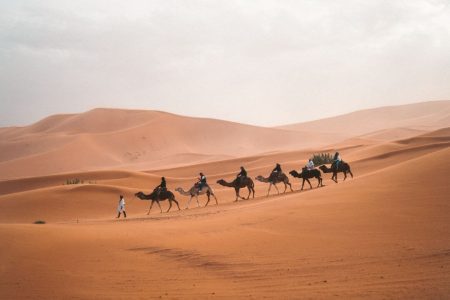 Experience the Heart of Marrakech with Our Unforgettable Camel Ride Excursion