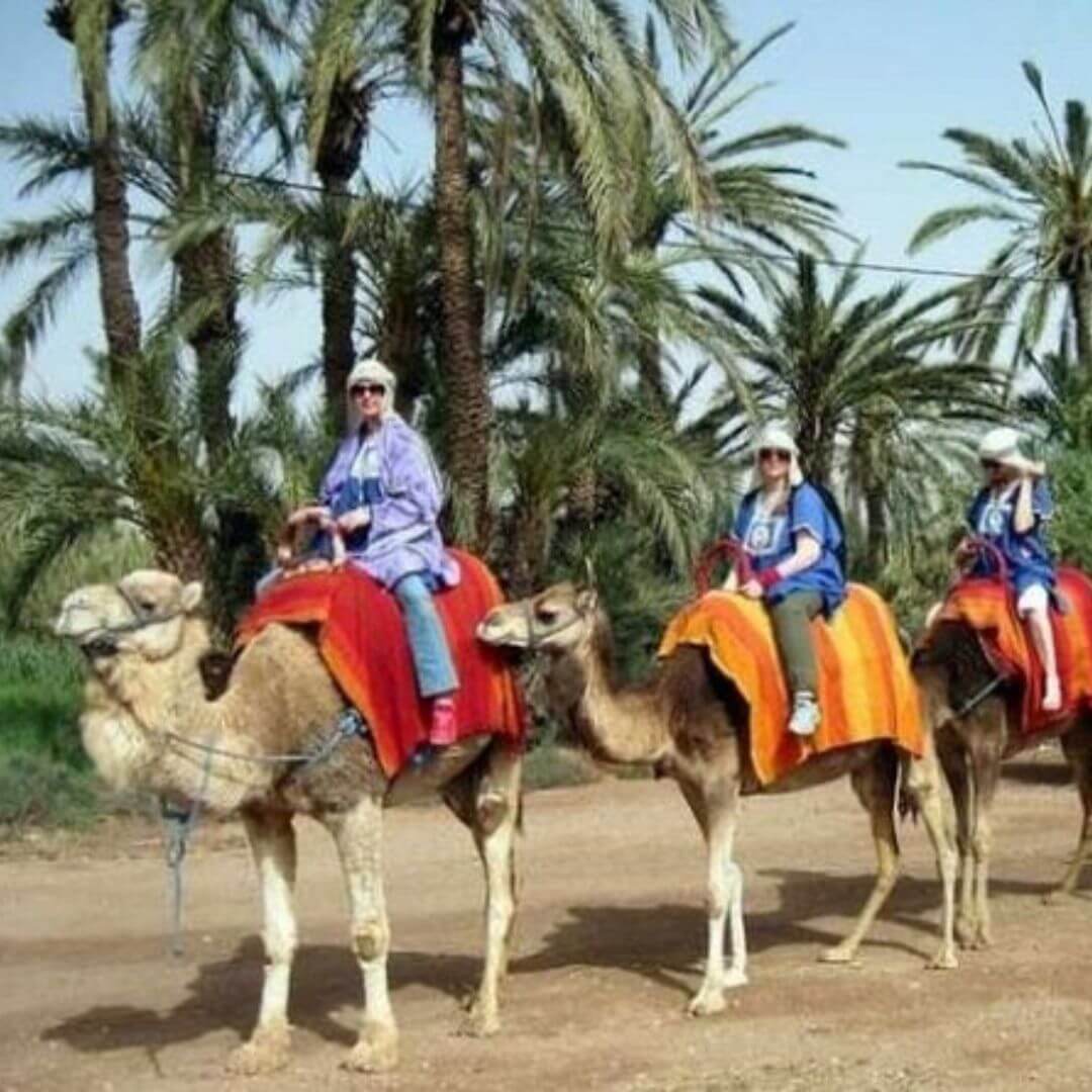 Camel ride in the Agafay Desert near Marrakech, showcasing the vast golden sand dunes