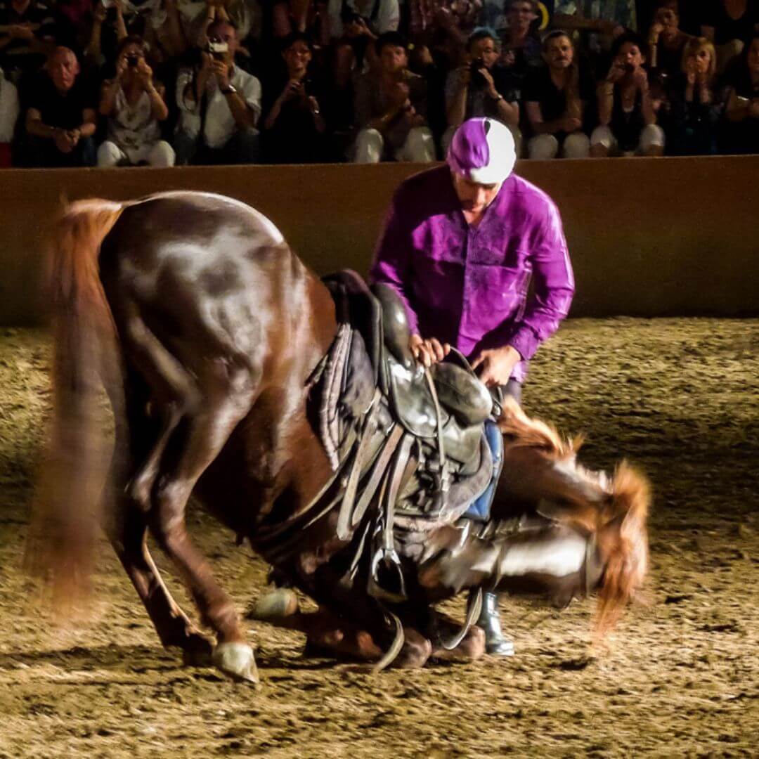 Horseback performance during the Fantasia Chez Ali evening experience