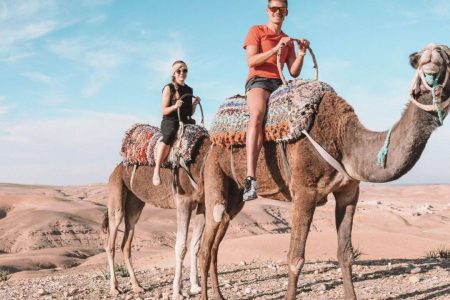 Vibrant Adventures Await: Dive into Exciting Activities in Marrakech